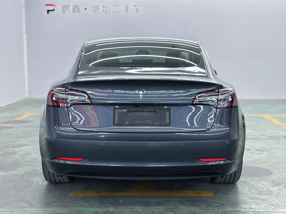 特斯拉 Model 3  2019款 標(biāo)準(zhǔn)續(xù)航后驅(qū)升級版圖片