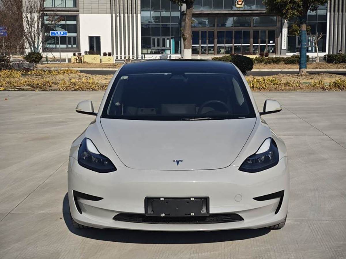 特斯拉 Model 3  2021款 改款 標(biāo)準(zhǔn)續(xù)航后驅(qū)升級(jí)版圖片