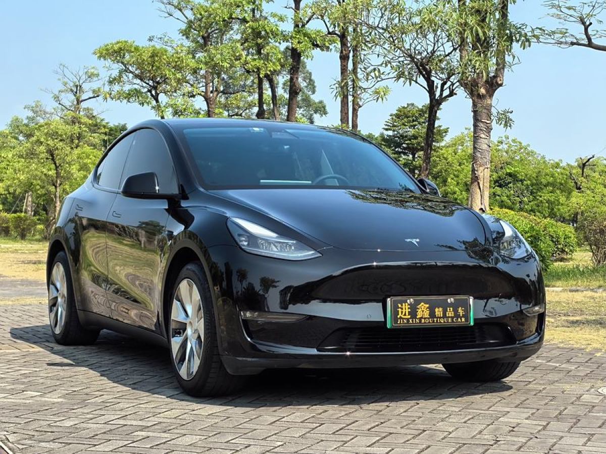 特斯拉 Model Y  2021款 改款 標準續(xù)航后驅(qū)升級版圖片