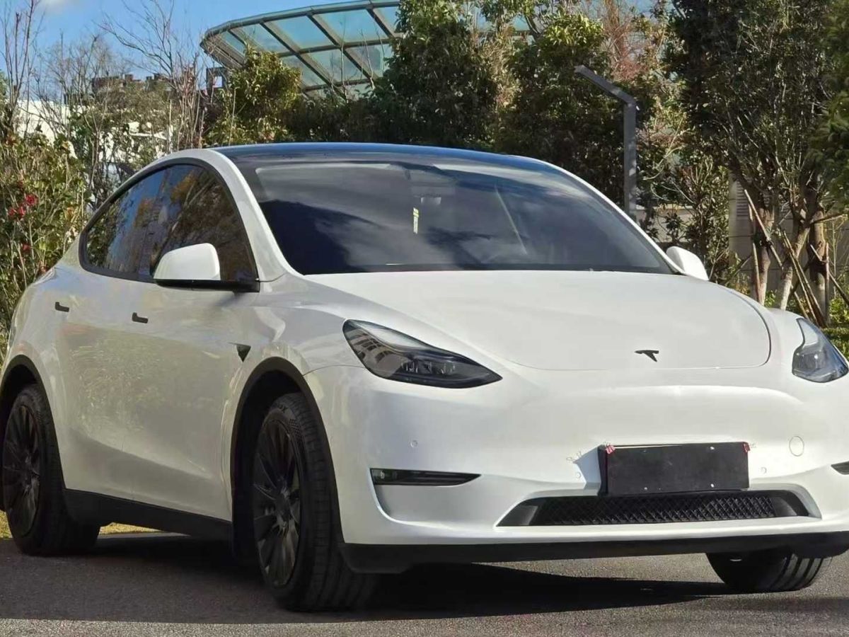 特斯拉 Model Y  2021款 標準續(xù)航后驅(qū)版圖片