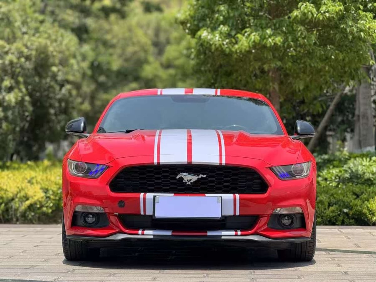 福特 Mustang  2015款 2.3T 性能版圖片