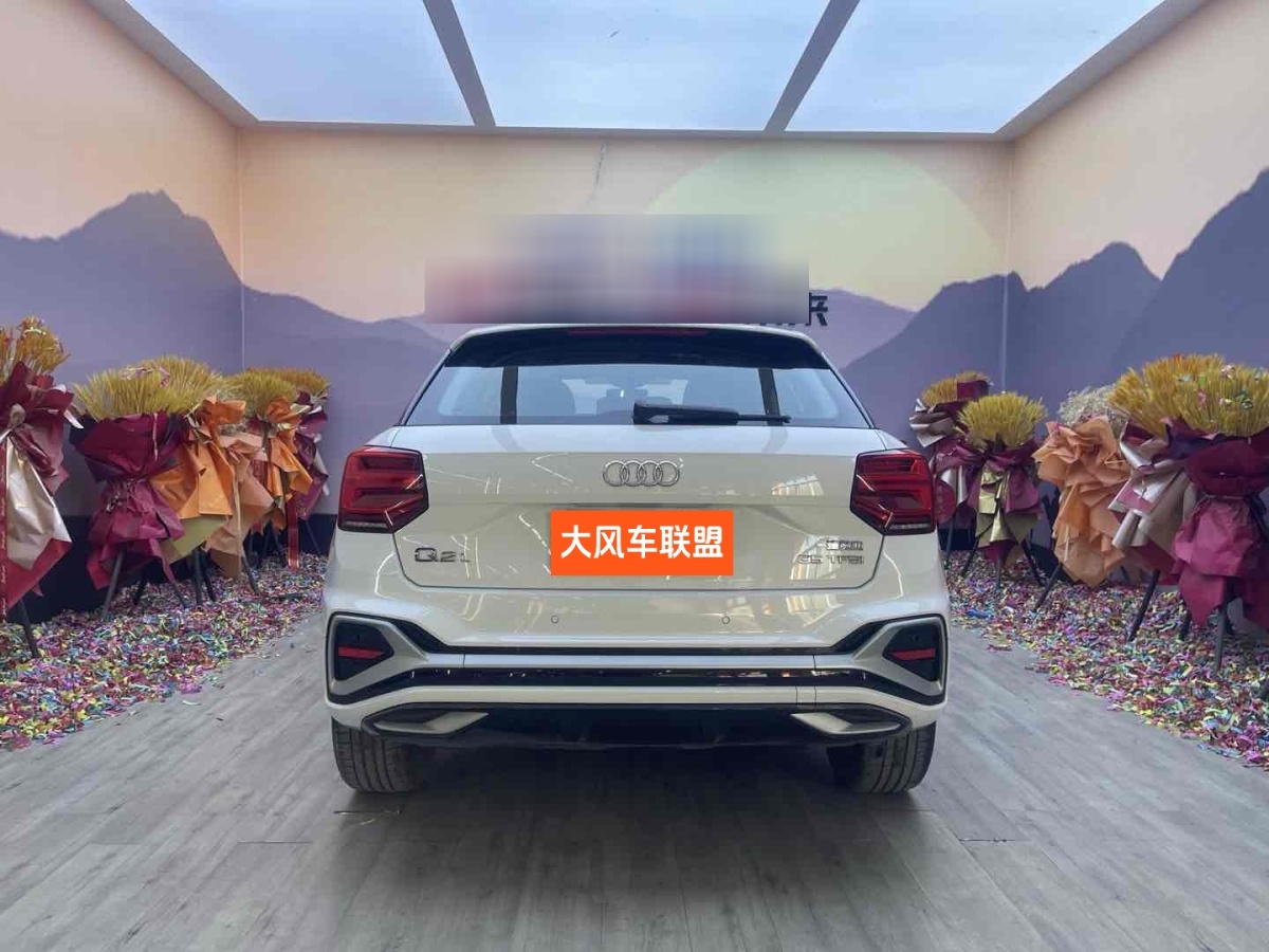 奧迪 奧迪Q2L  2024款 35TFSI 進(jìn)取動(dòng)感型圖片