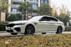 寶馬5系 寶馬 523Li 領(lǐng)先型