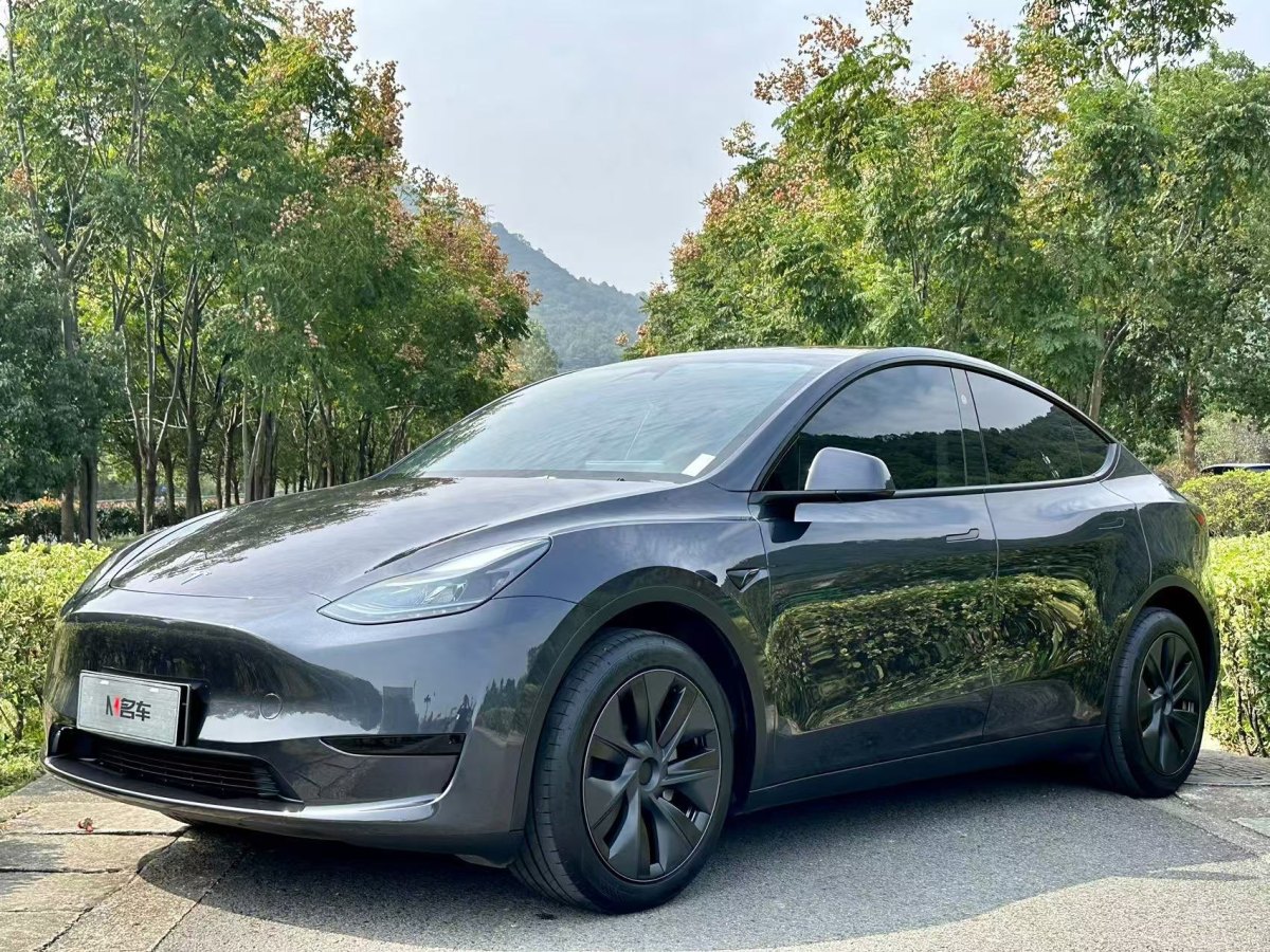 特斯拉 Model Y  2020款 改款 長續(xù)航后輪驅(qū)動版圖片