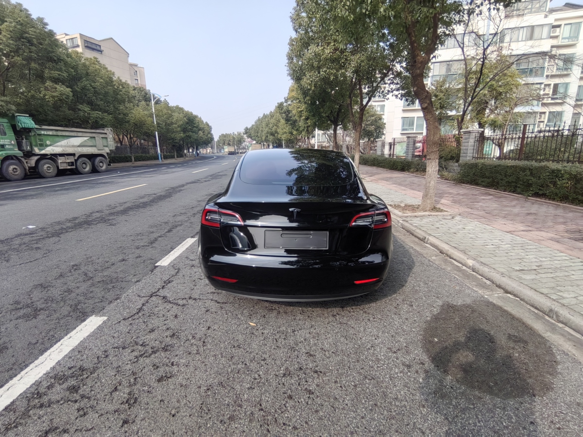 特斯拉 Model 3  2021款 標(biāo)準(zhǔn)續(xù)航后驅(qū)升級版 3D6圖片