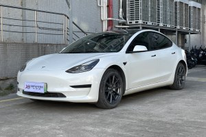 Model 3 特斯拉 标准续航后驱升级版