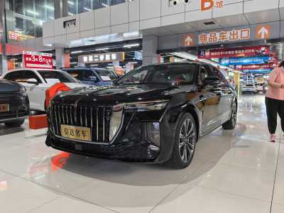 2024年10月 紅旗 紅旗H9 2.0T 旗享 私享風(fēng)尚版圖片