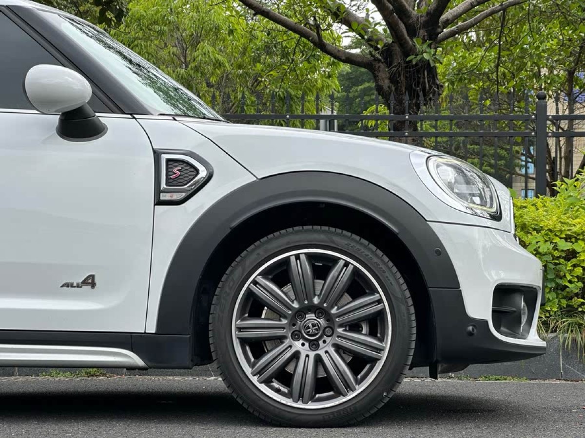 MINI COUNTRYMAN  2018款 2.0T COOPER S ALL4 藝術(shù)家圖片