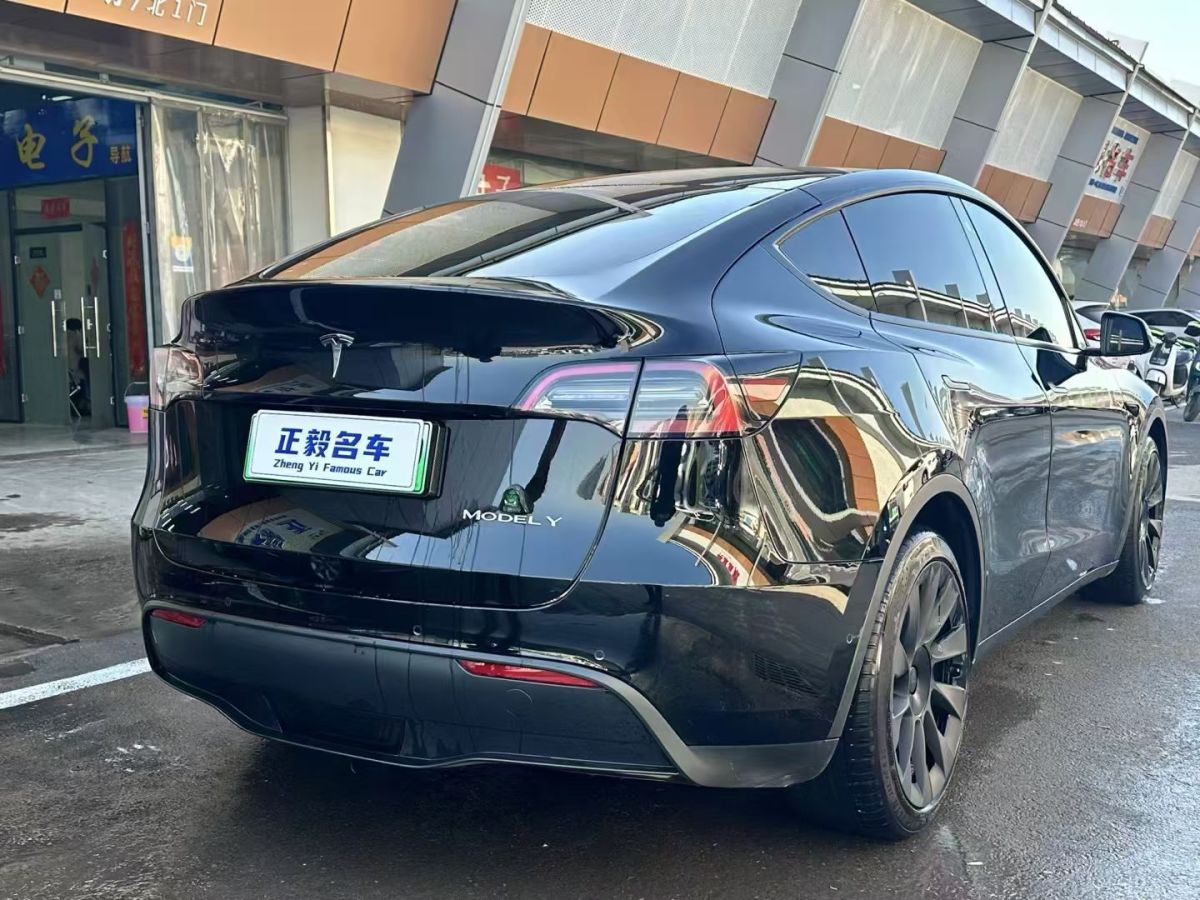 特斯拉 Model 3  2020款 改款 長續(xù)航后輪驅(qū)動(dòng)版圖片