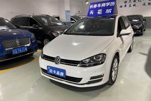 高爾夫 大眾 1.4TSI 自動(dòng)旗艦型