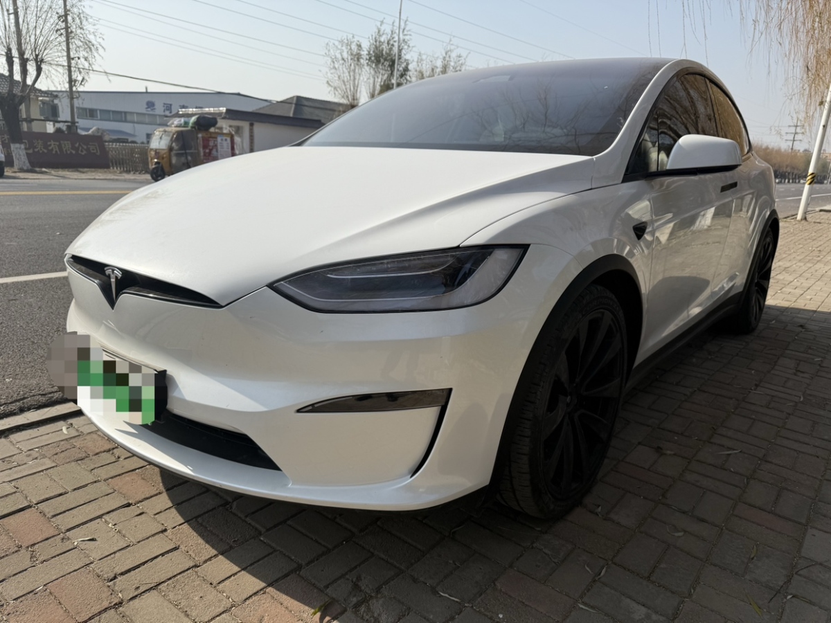 特斯拉 Model X  2021款 長(zhǎng)續(xù)航升級(jí)版圖片