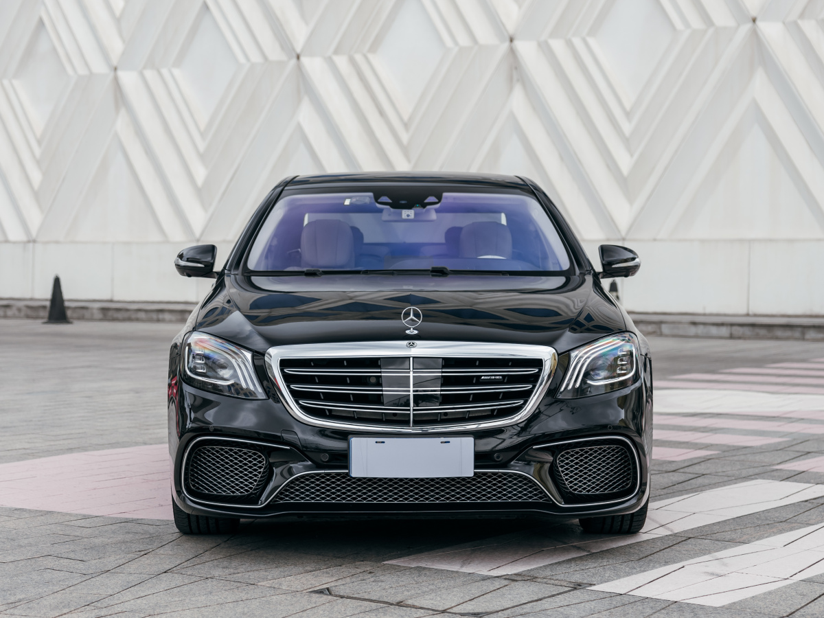 奔驰 奔驰S级AMG  2014款 AMG S 65 L图片