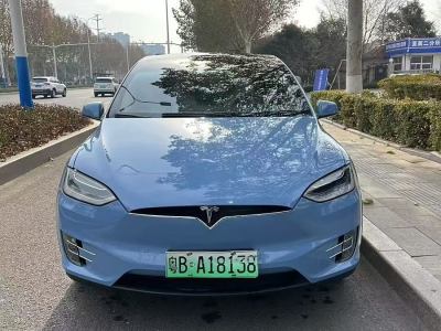 2019年2月 特斯拉 Model X Model X 100D 長續(xù)航版圖片