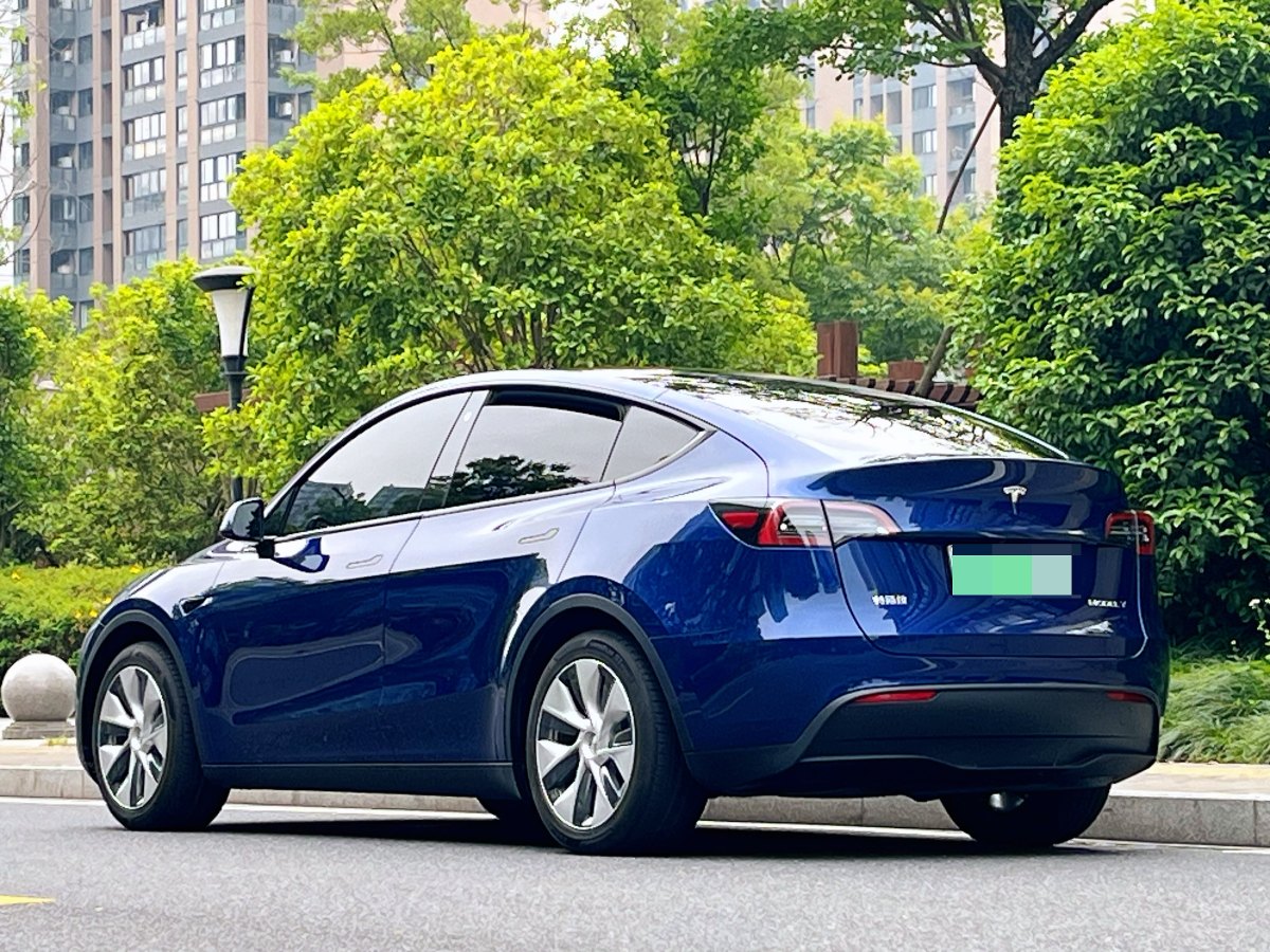 特斯拉 Model Y  2021款 標(biāo)準(zhǔn)續(xù)航后驅(qū)版圖片