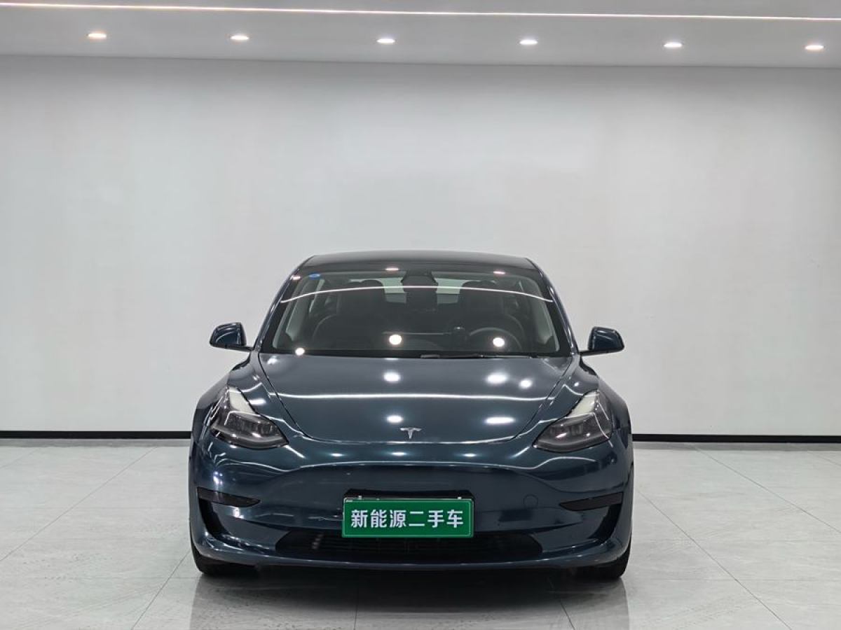 特斯拉 Model 3  2021款 改款 標(biāo)準(zhǔn)續(xù)航后驅(qū)升級(jí)版圖片