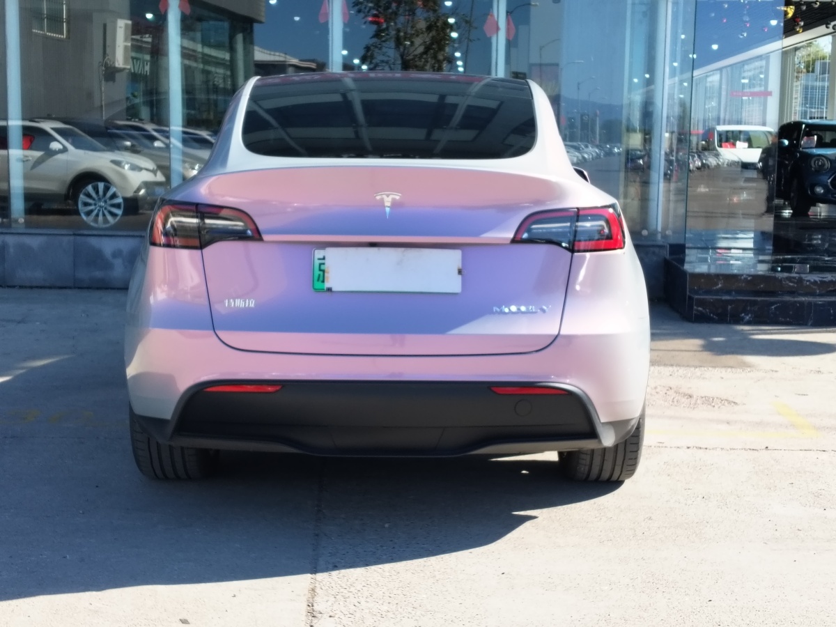 特斯拉 Model Y  2021款 改款 Performance高性能全輪驅(qū)動版圖片