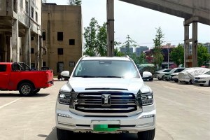 坦克500新能源 坦克 改款 Hi4-T