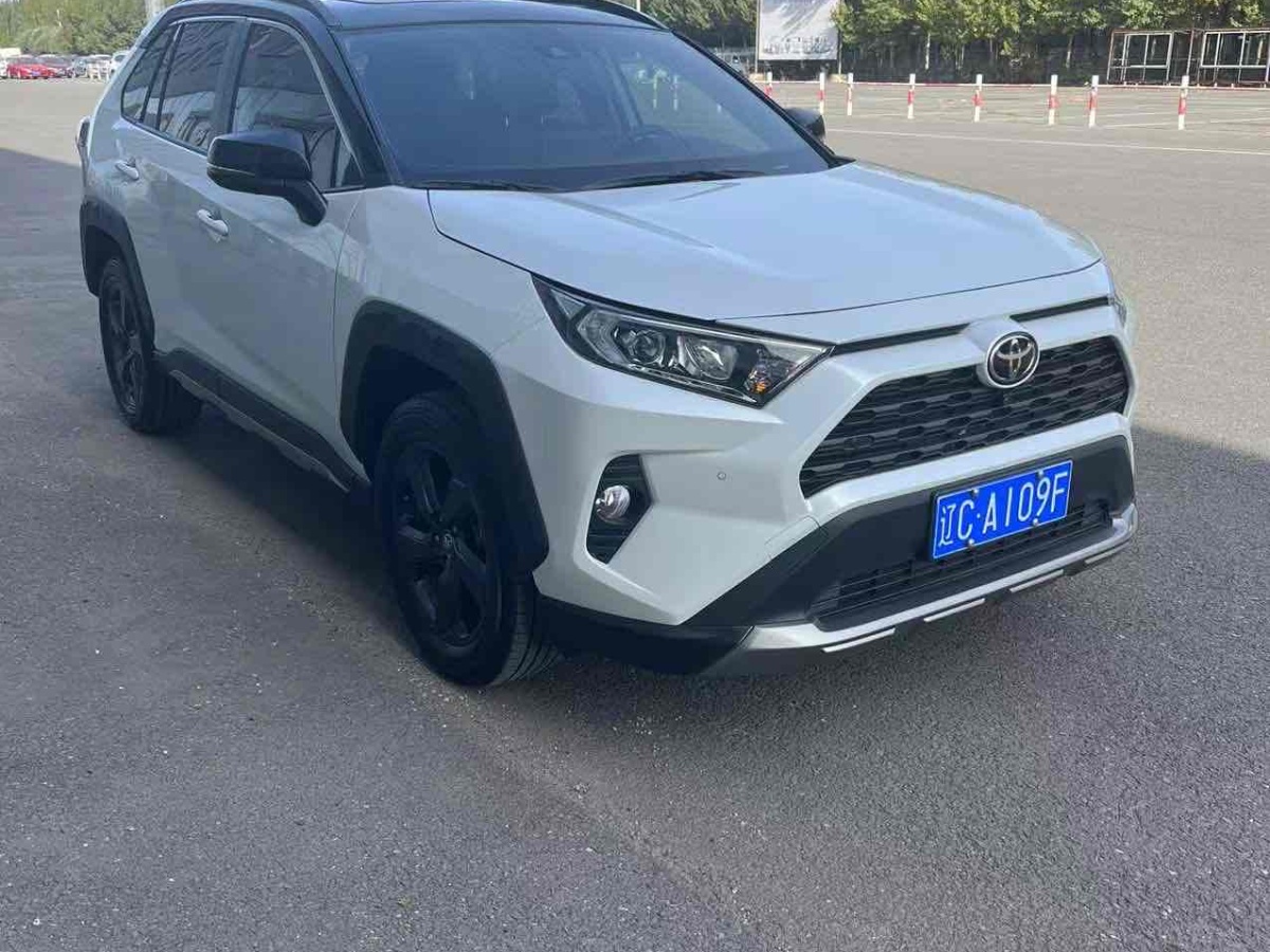 豐田 RAV4  2018款 榮放 2.0L CVT兩驅(qū)風(fēng)尚版圖片