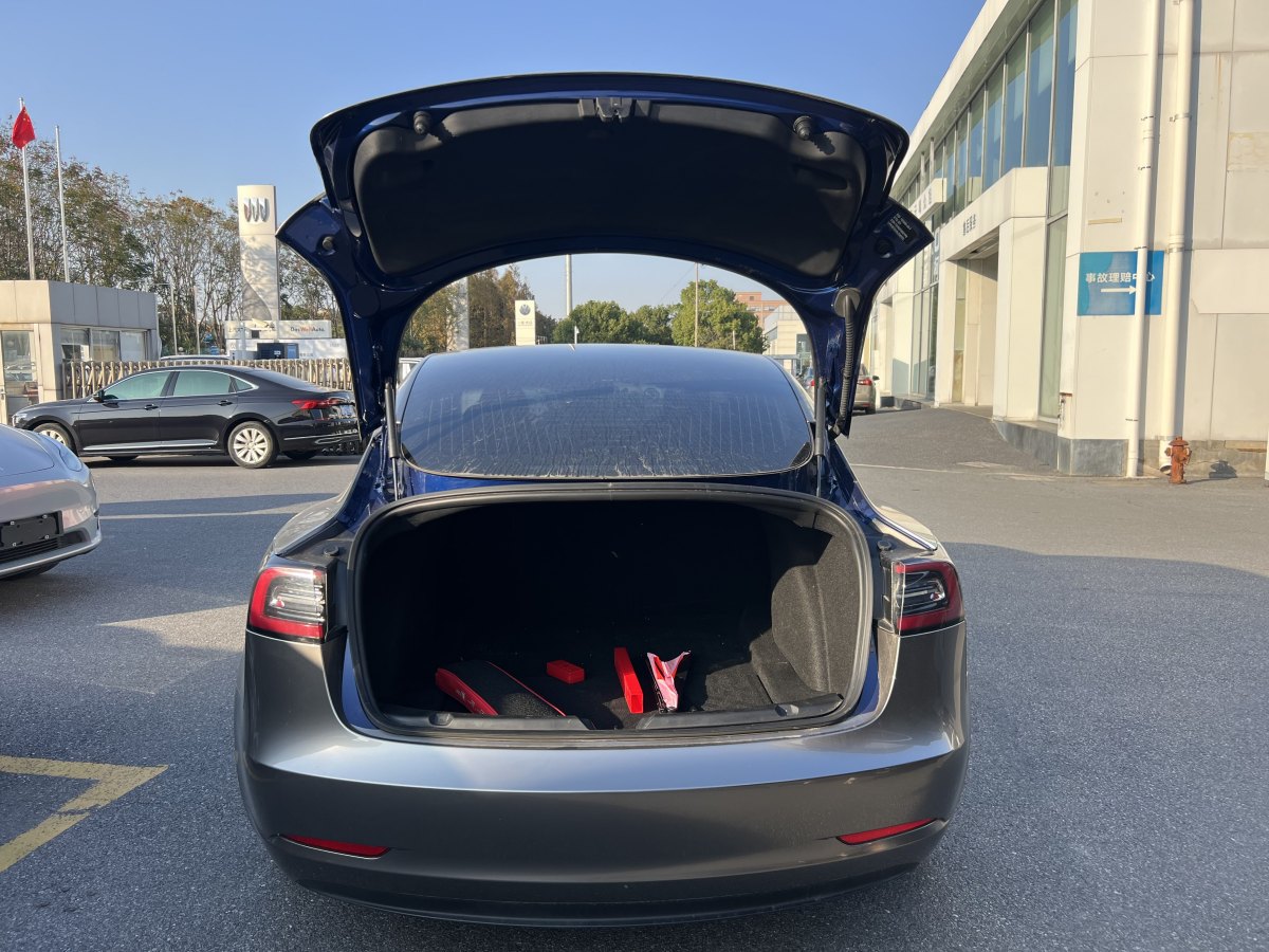 特斯拉 Model 3  2019款 標準續(xù)航后驅(qū)升級版圖片