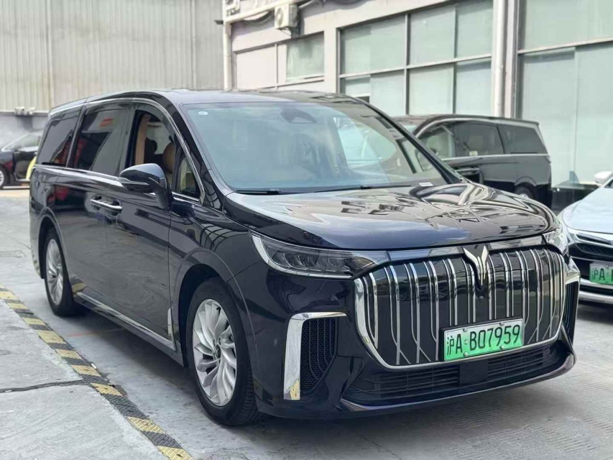 嵐圖 夢想家  2024款 EV 超長續(xù)航卓越版圖片
