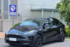 Model Y 特斯拉 改款二 長續(xù)航全輪驅(qū)動版