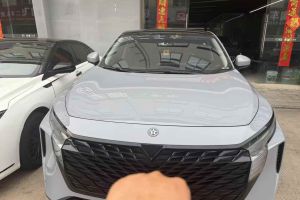 V級(jí) 奔馳 V 300 尊貴版