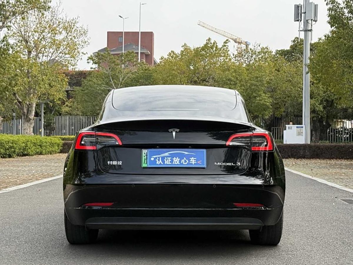 特斯拉 Model 3  2021款 標(biāo)準(zhǔn)續(xù)航后驅(qū)升級(jí)版 3D6圖片