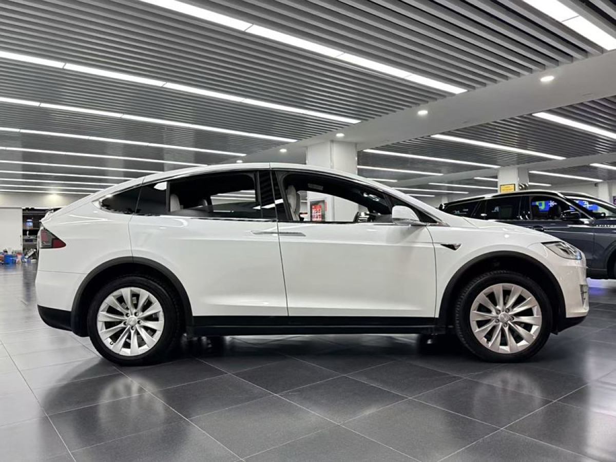 特斯拉 Model X  2017款 Model X 100D 長續(xù)航版圖片