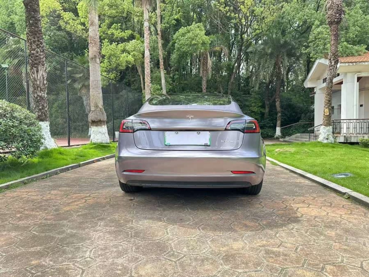 特斯拉 Model 3  2021款 改款 標(biāo)準(zhǔn)續(xù)航后驅(qū)升級(jí)版圖片