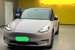 Model Y 特斯拉 改款 标准续航后驱升级版