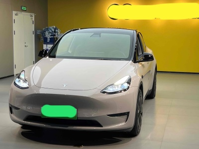 2021年11月 特斯拉 Model Y 改款 标准续航后驱升级版图片