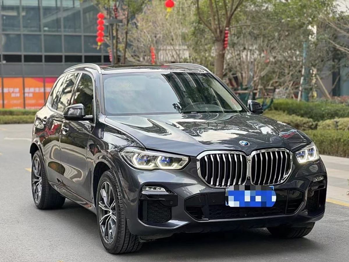 寶馬 寶馬X5  2020款 xDrive40i M運(yùn)動(dòng)套裝圖片