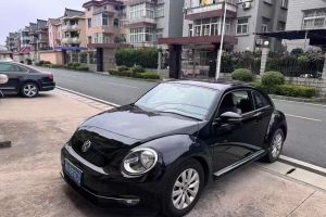 甲殼蟲 大眾 1.2TSI 時(shí)尚型