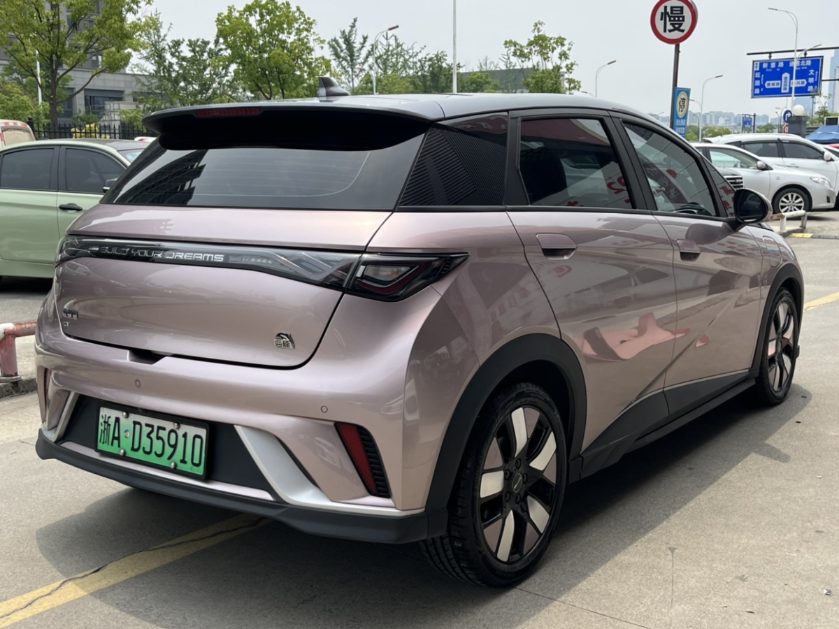 比亞迪 海豚  2021款 401km 騎士版圖片