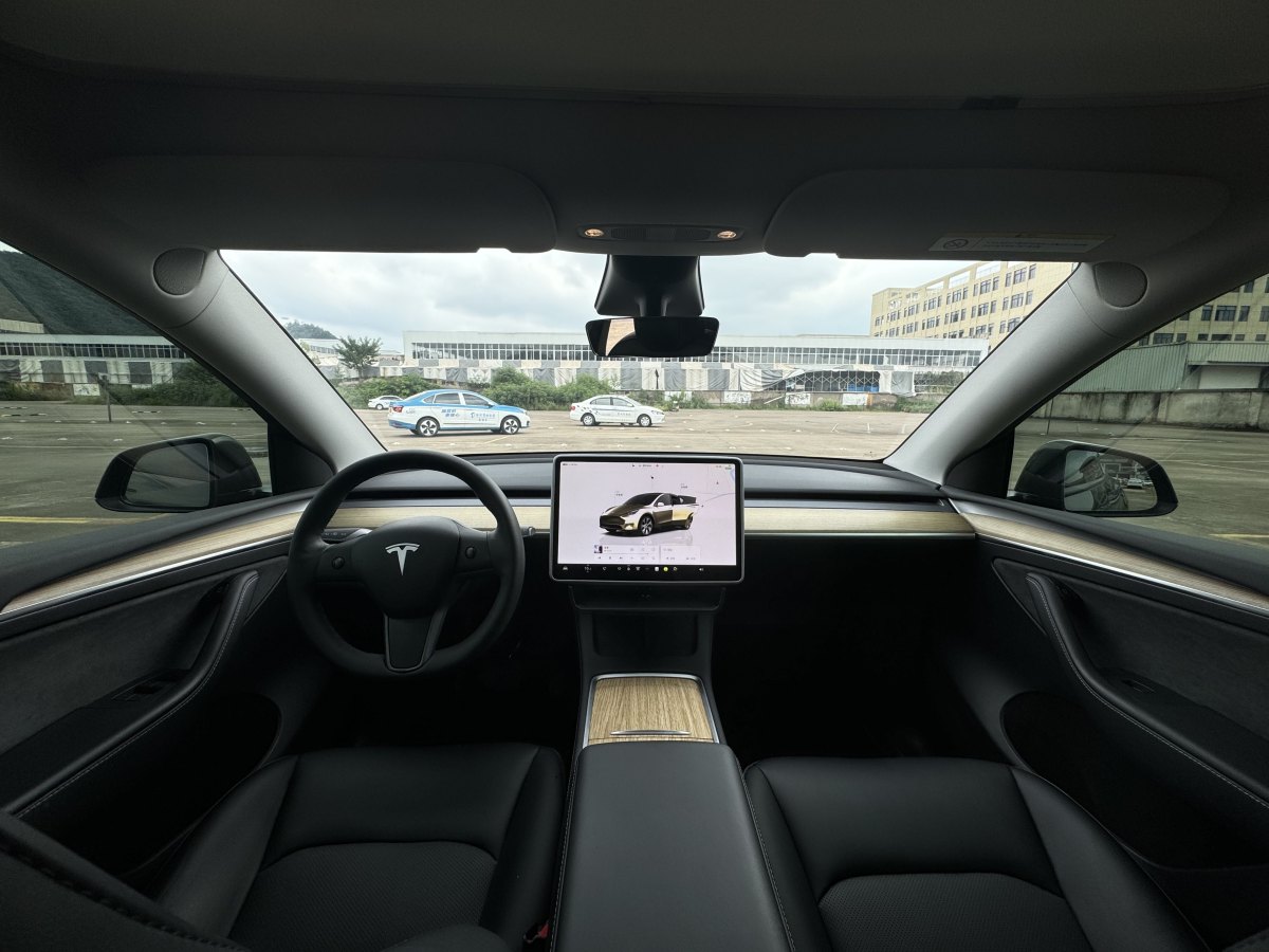 特斯拉 Model Y  2021款 改款 Performance高性能全輪驅(qū)動版圖片