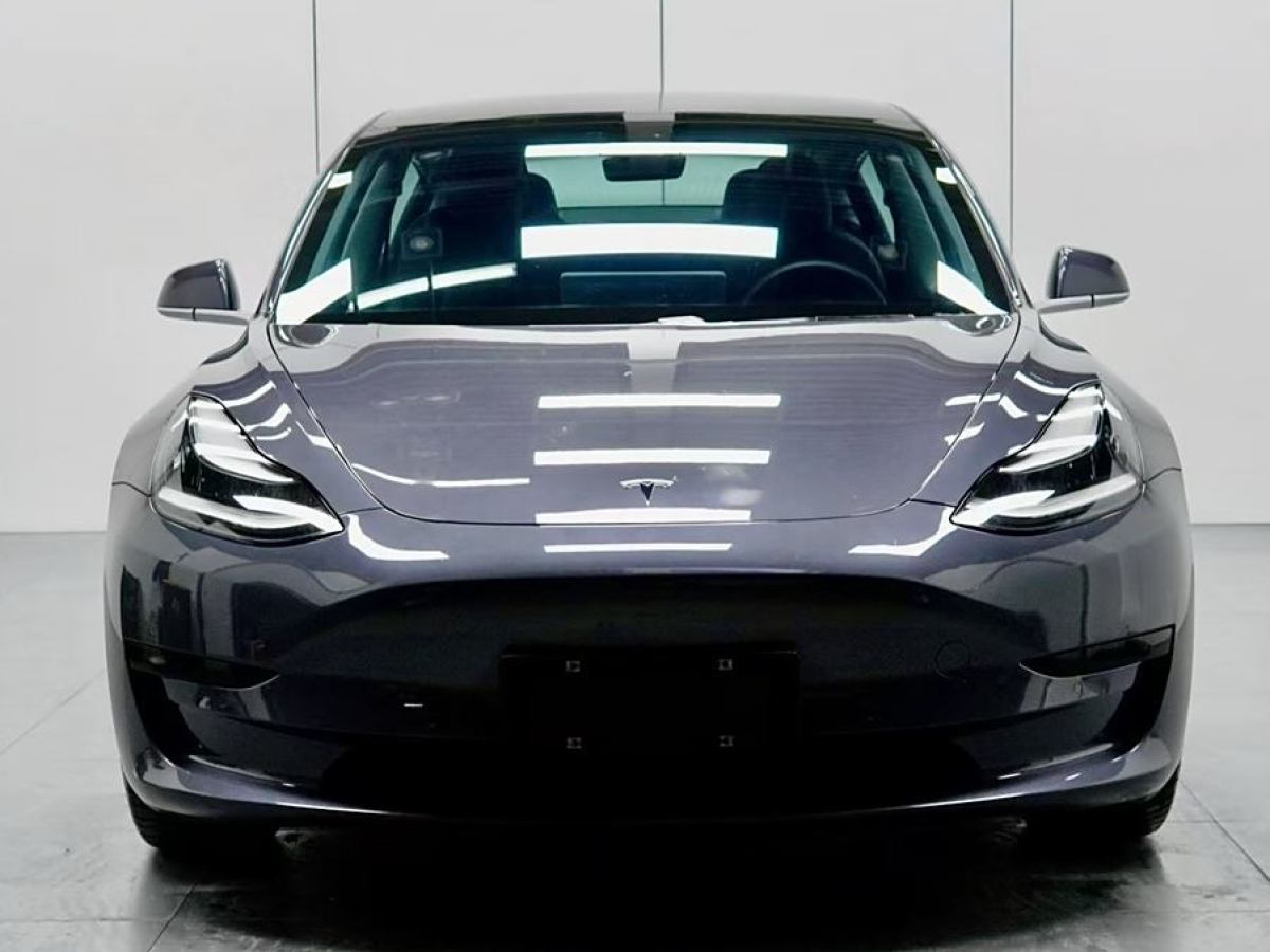 特斯拉 Model 3  2020款 改款 標(biāo)準(zhǔn)續(xù)航后驅(qū)升級(jí)版圖片