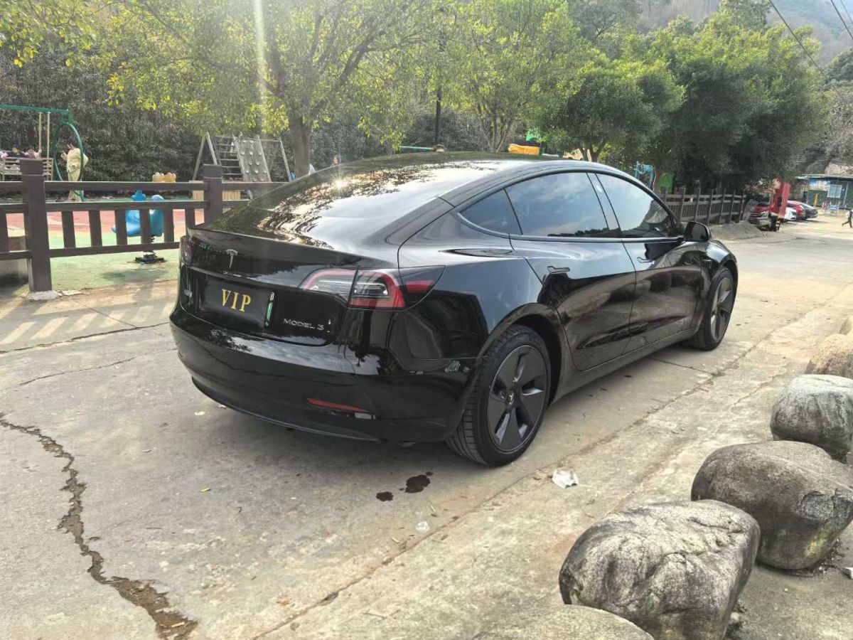 特斯拉 Model Y  2022款 后驅(qū)版圖片