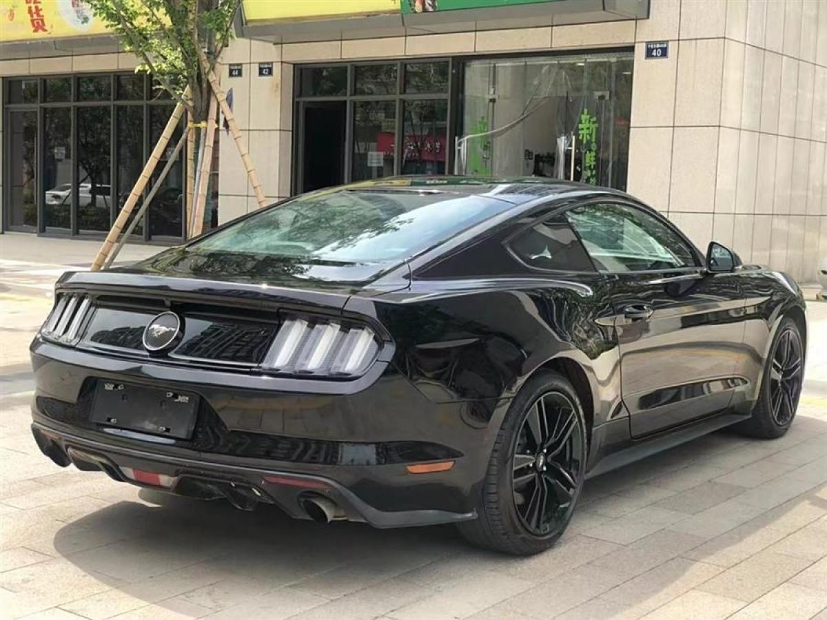 福特 Mustang  2015款 2.3T 性能版圖片