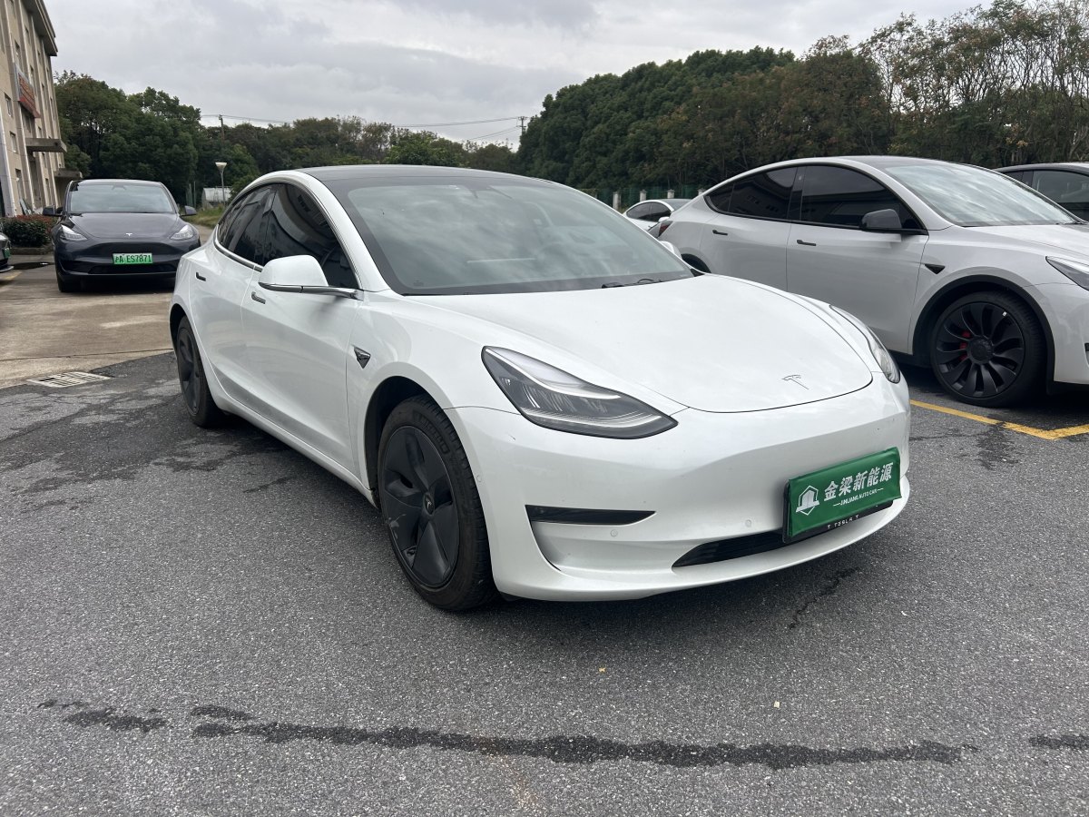 特斯拉 Model 3  2019款 長續(xù)航后驅(qū)版圖片