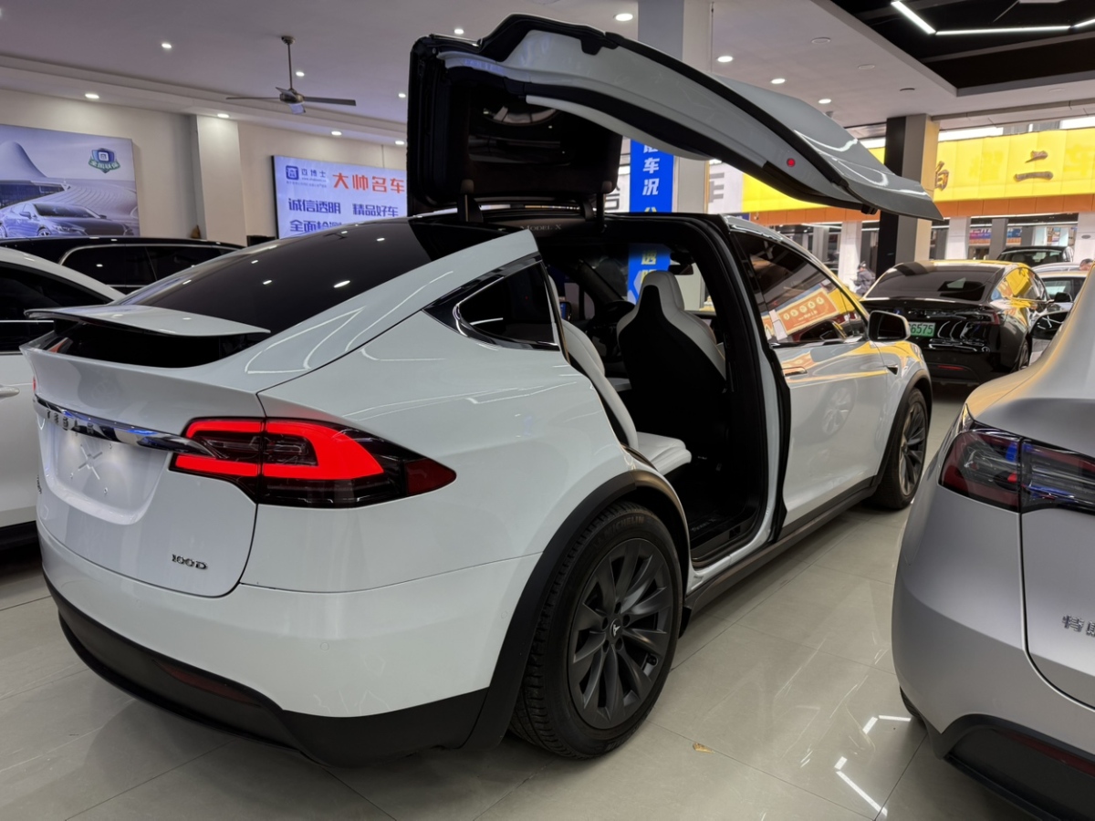 特斯拉 Model X  2019款 長續(xù)航版圖片