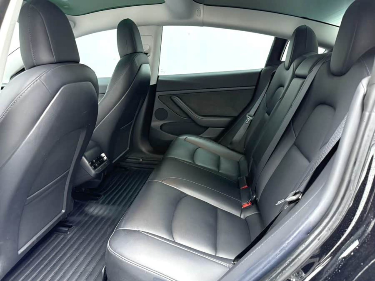 特斯拉 Model 3  2022款 后輪驅(qū)動(dòng)版圖片