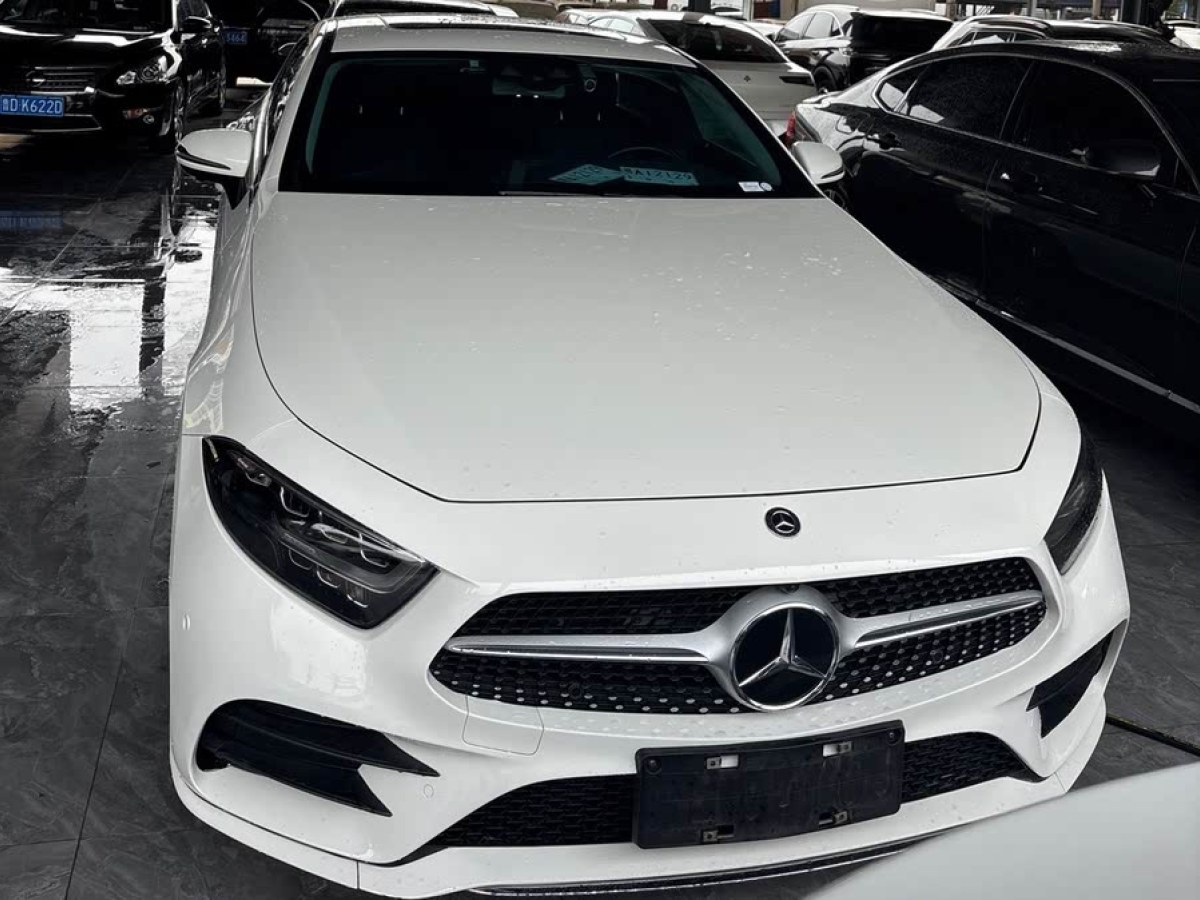 奔馳 奔馳CLS級  2018款 CLS 300 豪華型圖片