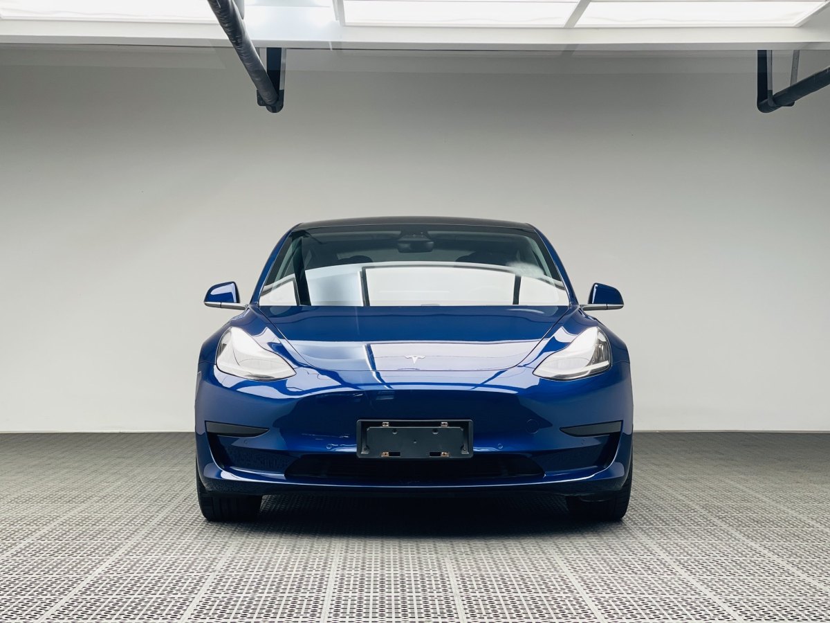 特斯拉 Model 3  2019款 標準續(xù)航后驅(qū)升級版圖片