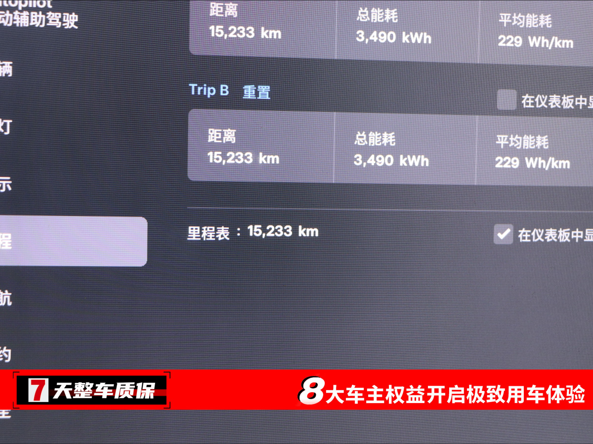 特斯拉 Model X  2020款 長續(xù)航升級版圖片