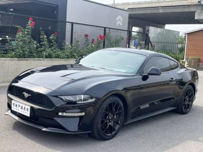 2021年4月 福特 Mustang(進(jìn)口) 2.3L EcoBoost圖片