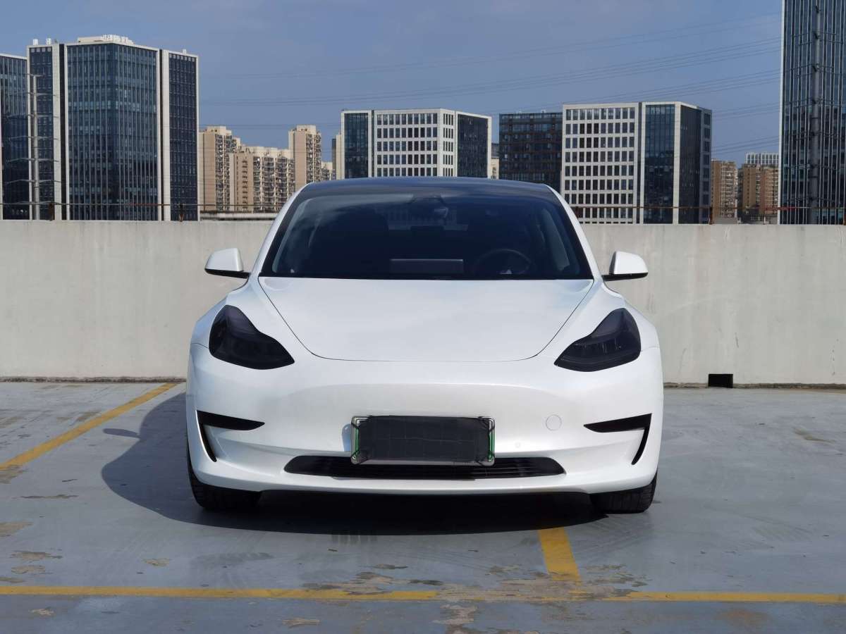 特斯拉 Model 3  2019款 標(biāo)準(zhǔn)續(xù)航后驅(qū)升級(jí)版圖片