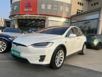 2018年5月 特斯拉 Model X Model X 75D图片