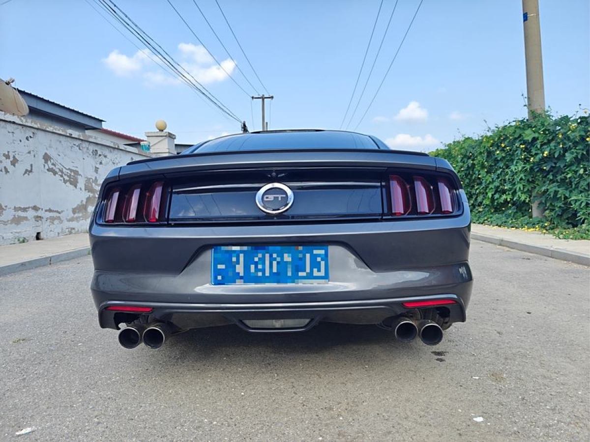 福特 Mustang  2016款 2.3T 性能版圖片