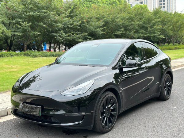 特斯拉 Model Y  2021款 标准续航后驱升级版