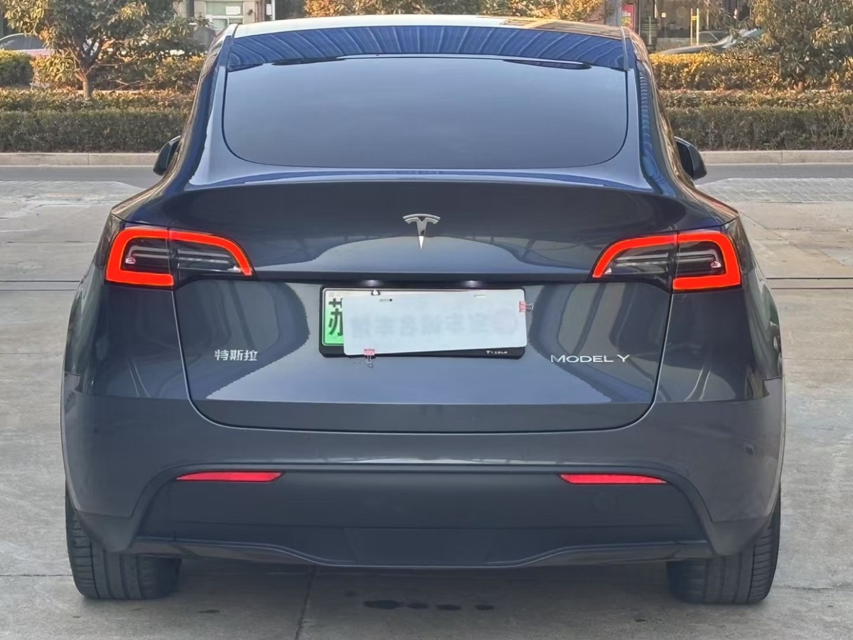 特斯拉 Model Y  2022款 改款 后輪驅(qū)動(dòng)版圖片